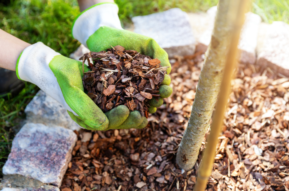 Landscaping Tips to Reduce Tick Populations